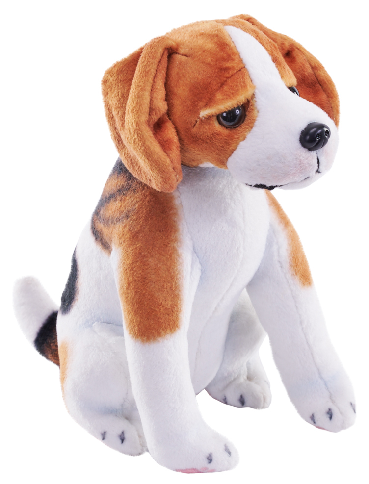pes se zvukem Bígl