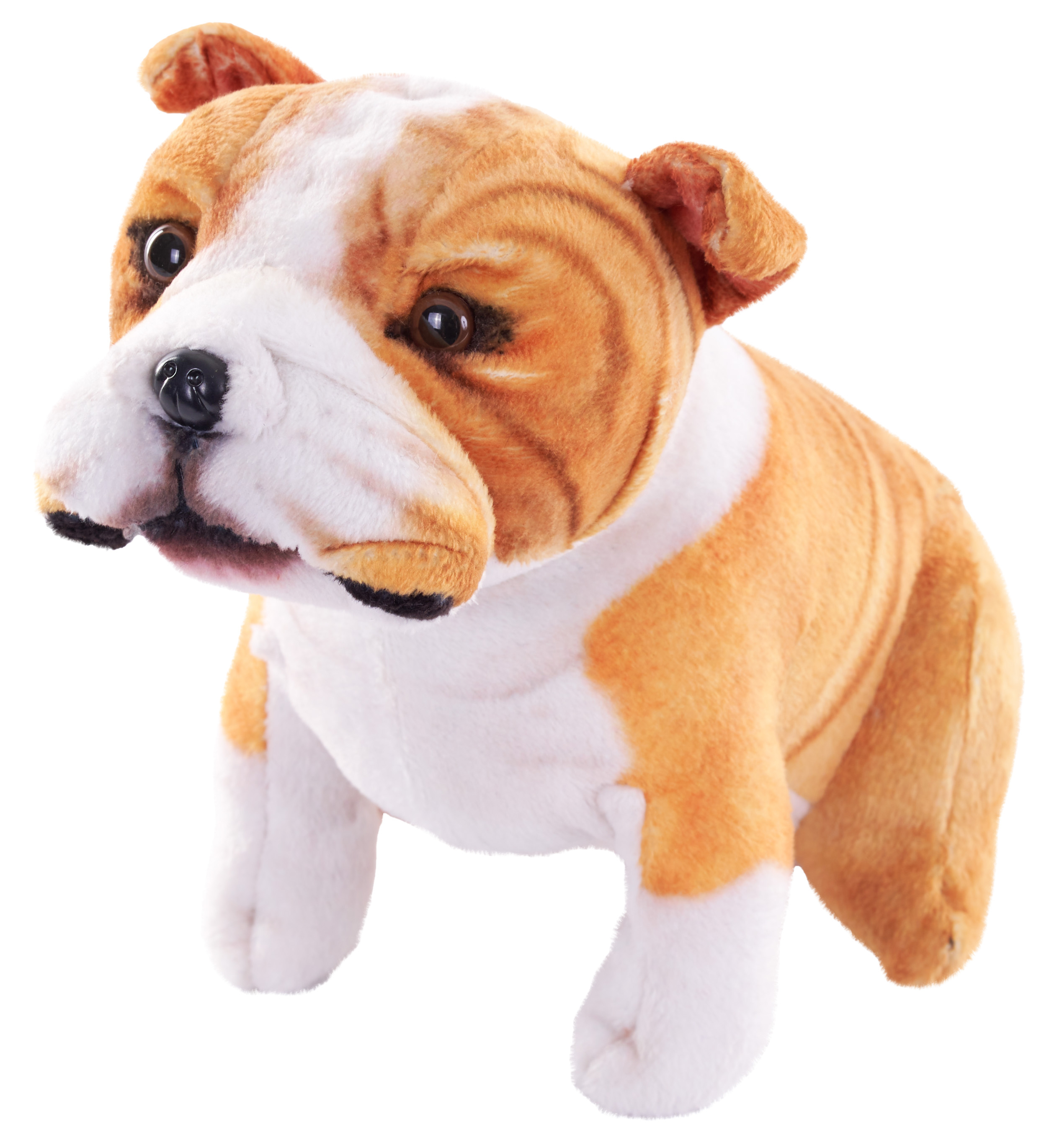 pes se zvukem Bulldog