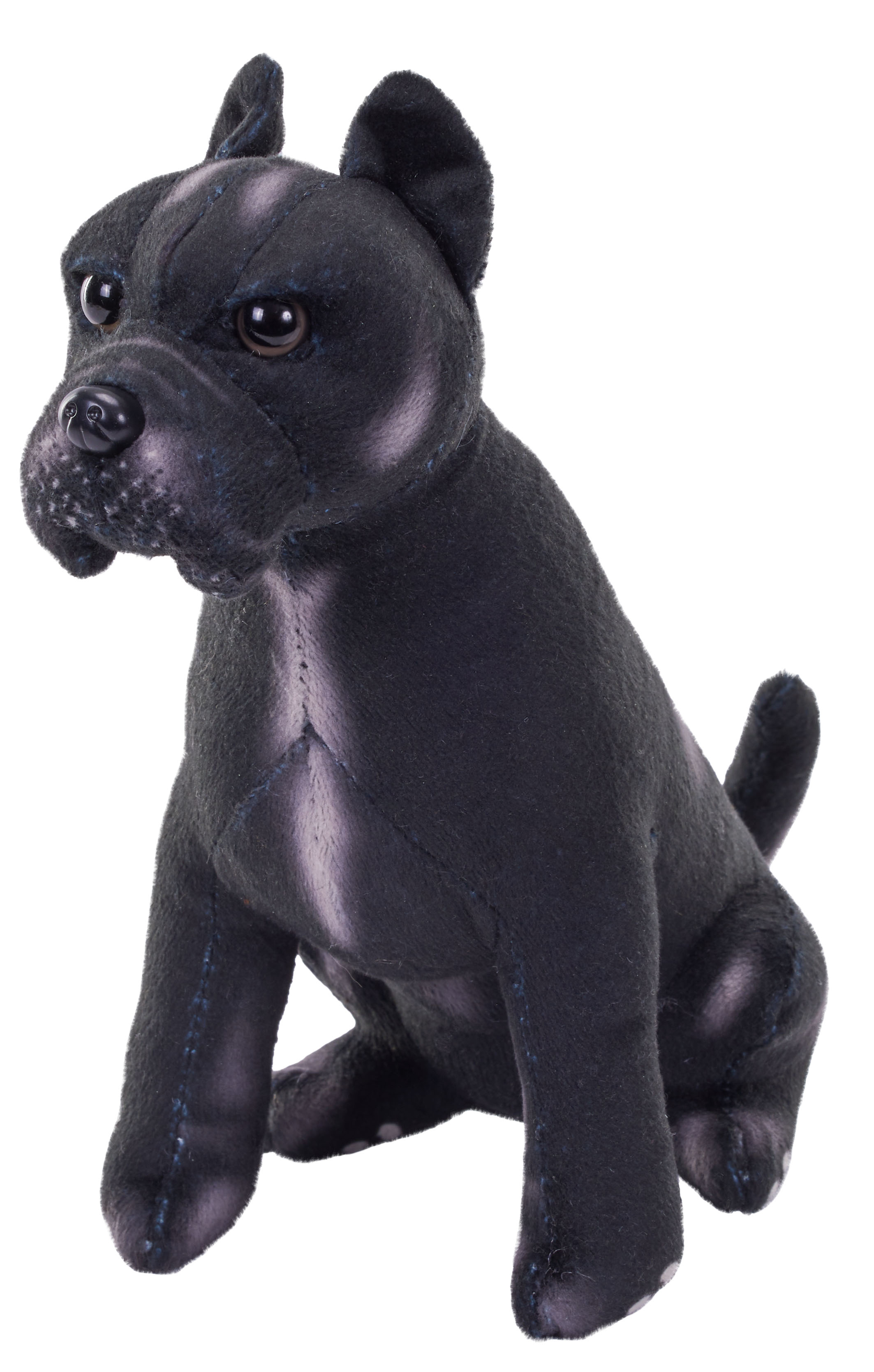 pes se zvukem Cane Corso