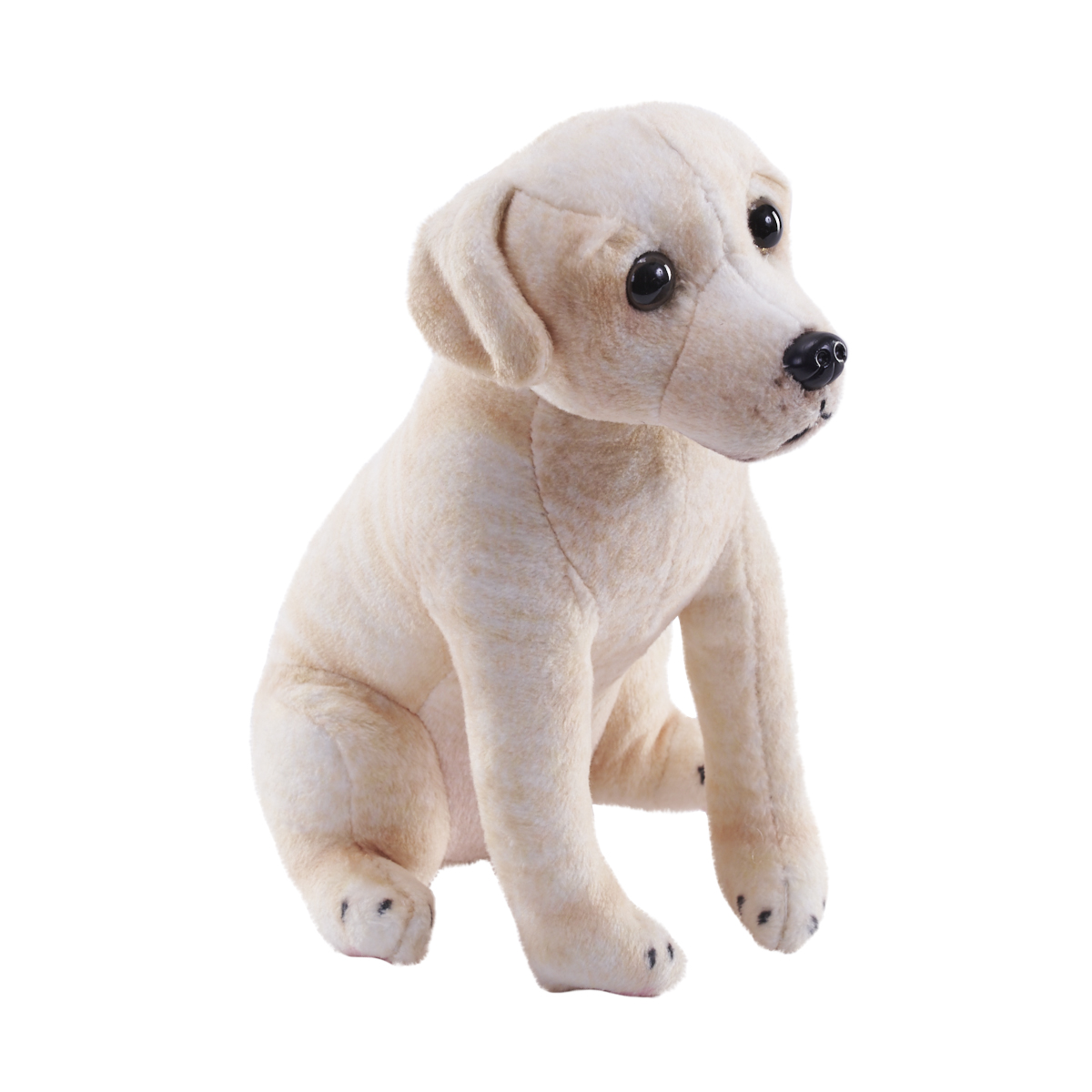pes se zvukem Labrador