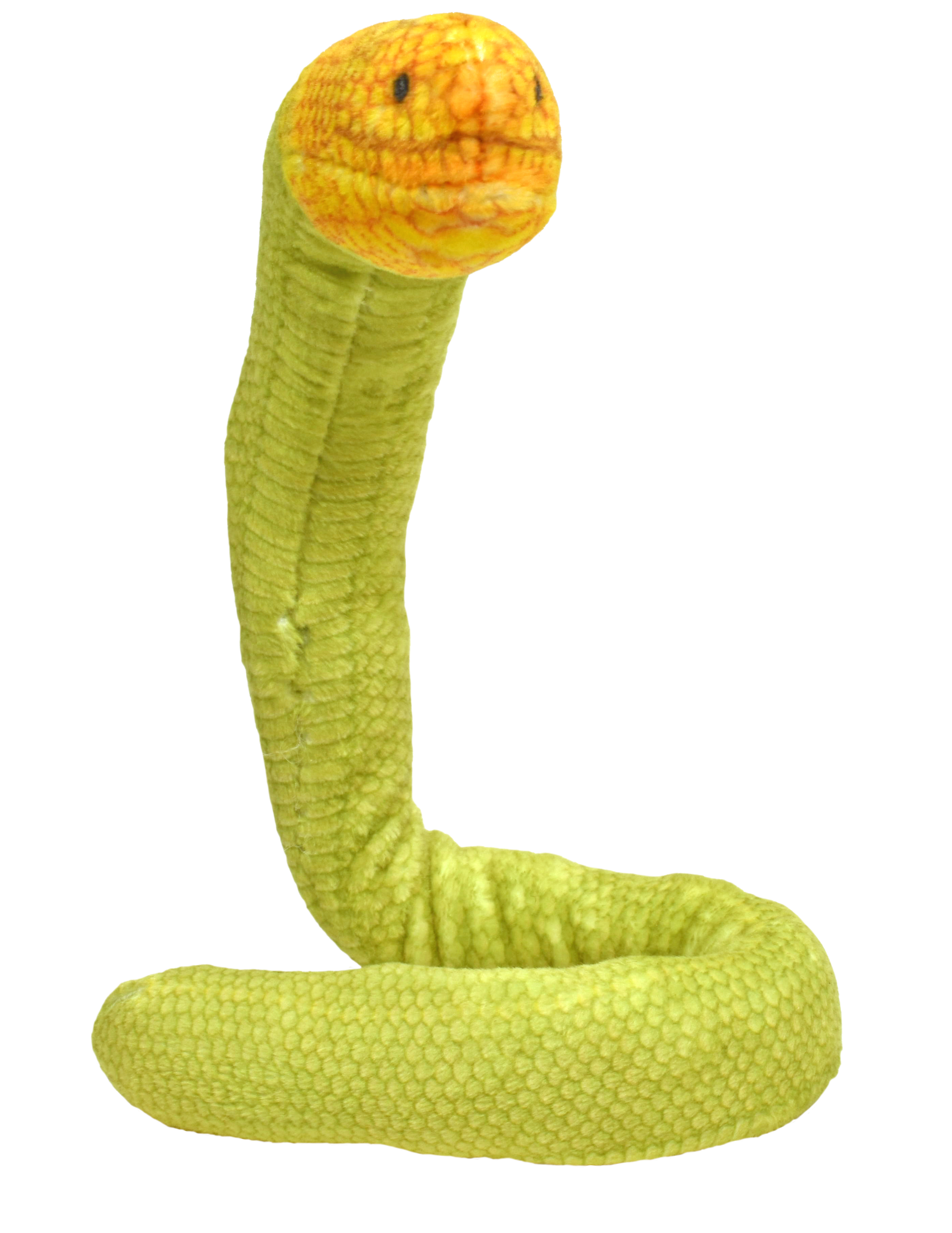 Plyš Coilkins had mořský olivový 30cm WR