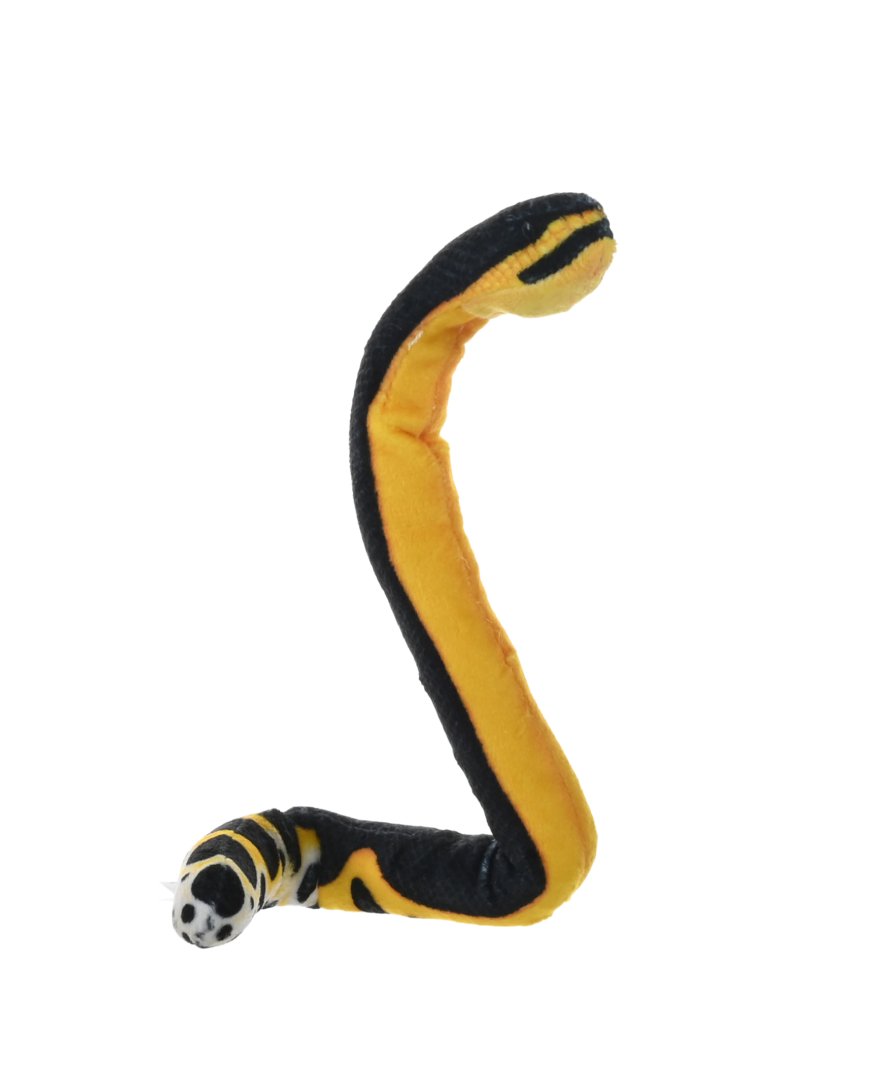 Plyš Coilkins had žlutý mořský břichatý 30cm WR