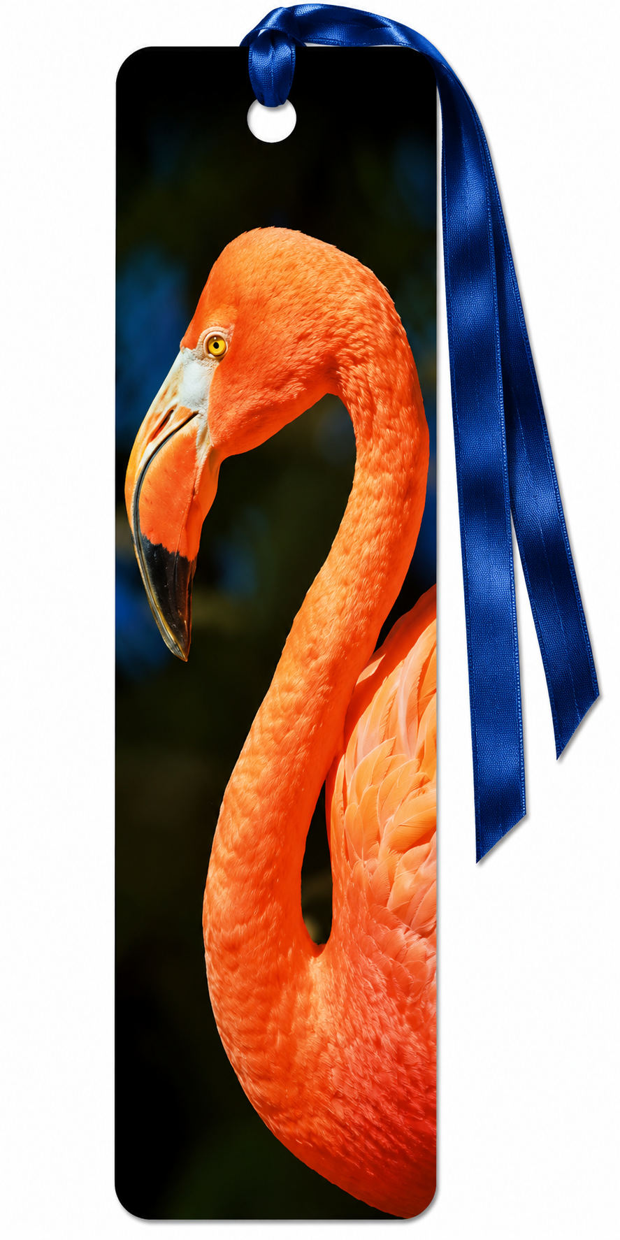 záložka 3D - Plameňák