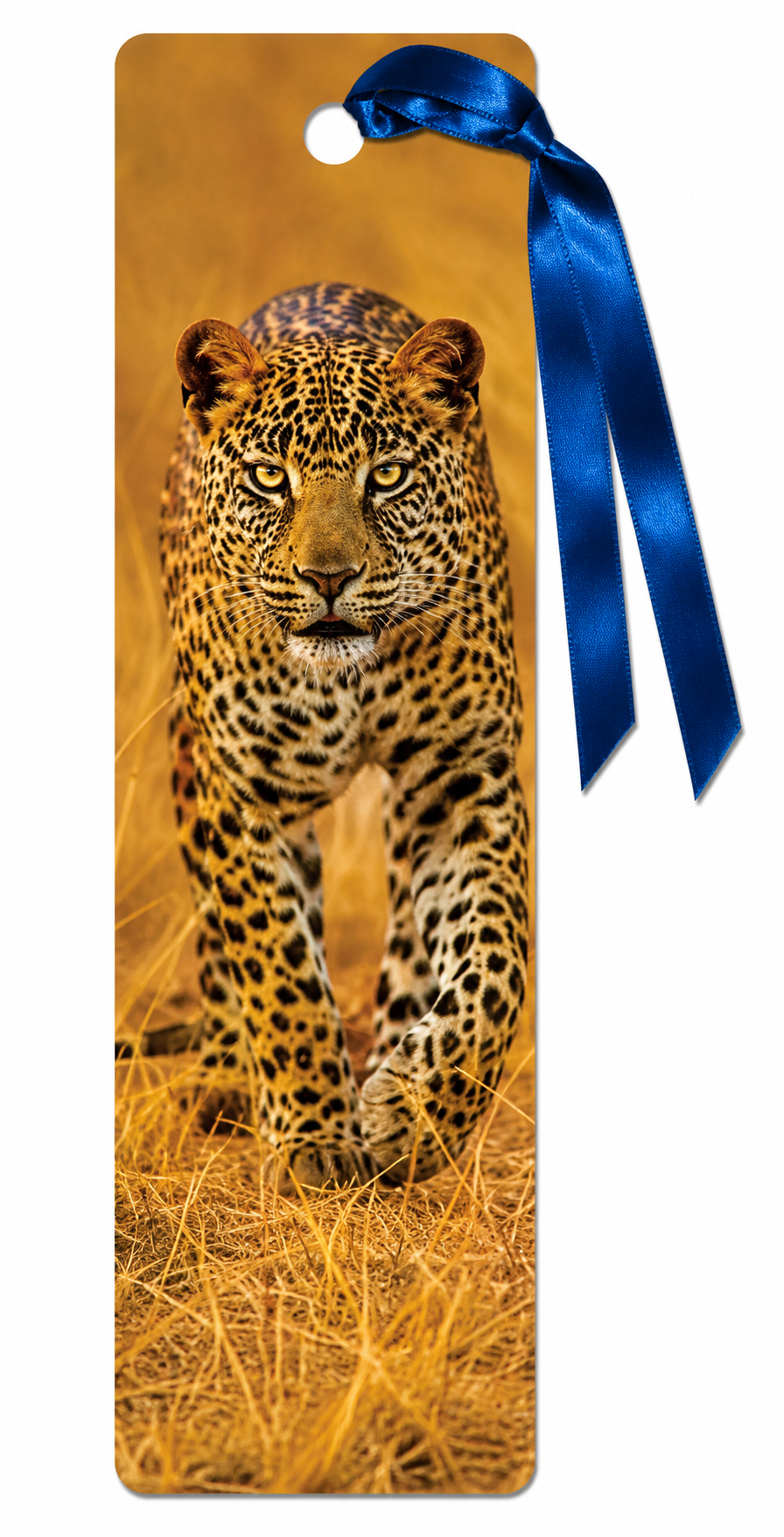 záložka 3D - Gepard