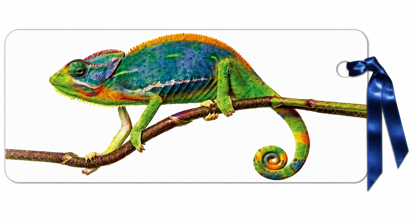 záložka 3D - Chameleon na větvi