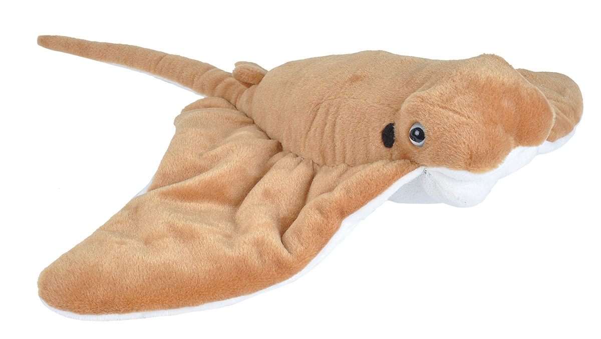Plyš rejnok Cownose 30-38 cm WR
