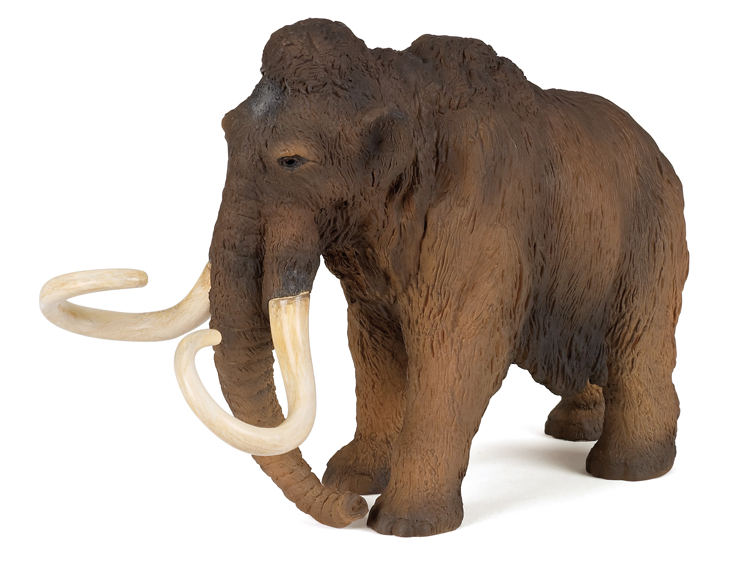 Mamut PAPO