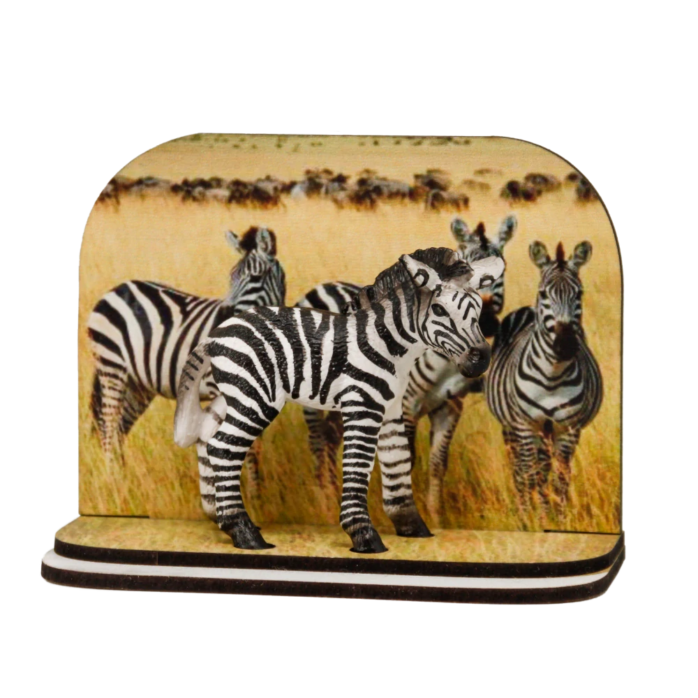 Diorama zebra