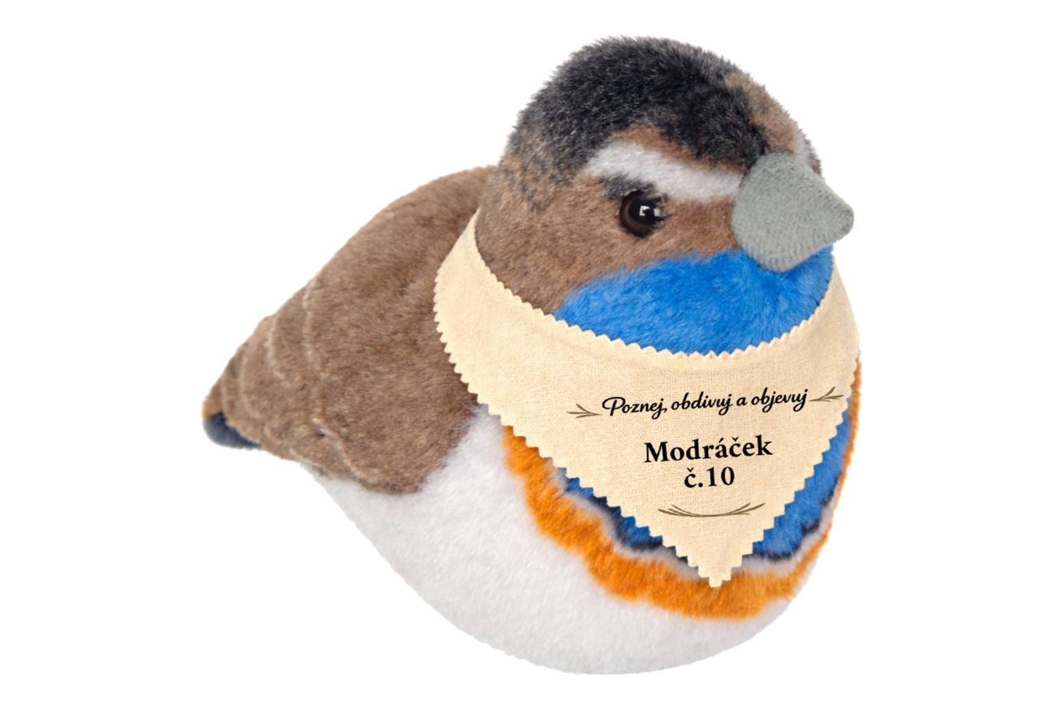 ptáček se zvuky Modráček + pexeso Ptáčci