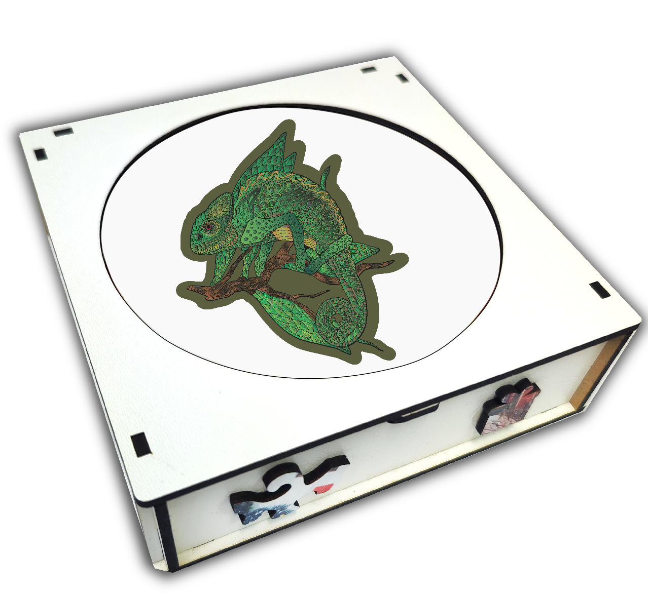 puzzle Chameleon 66 dílků