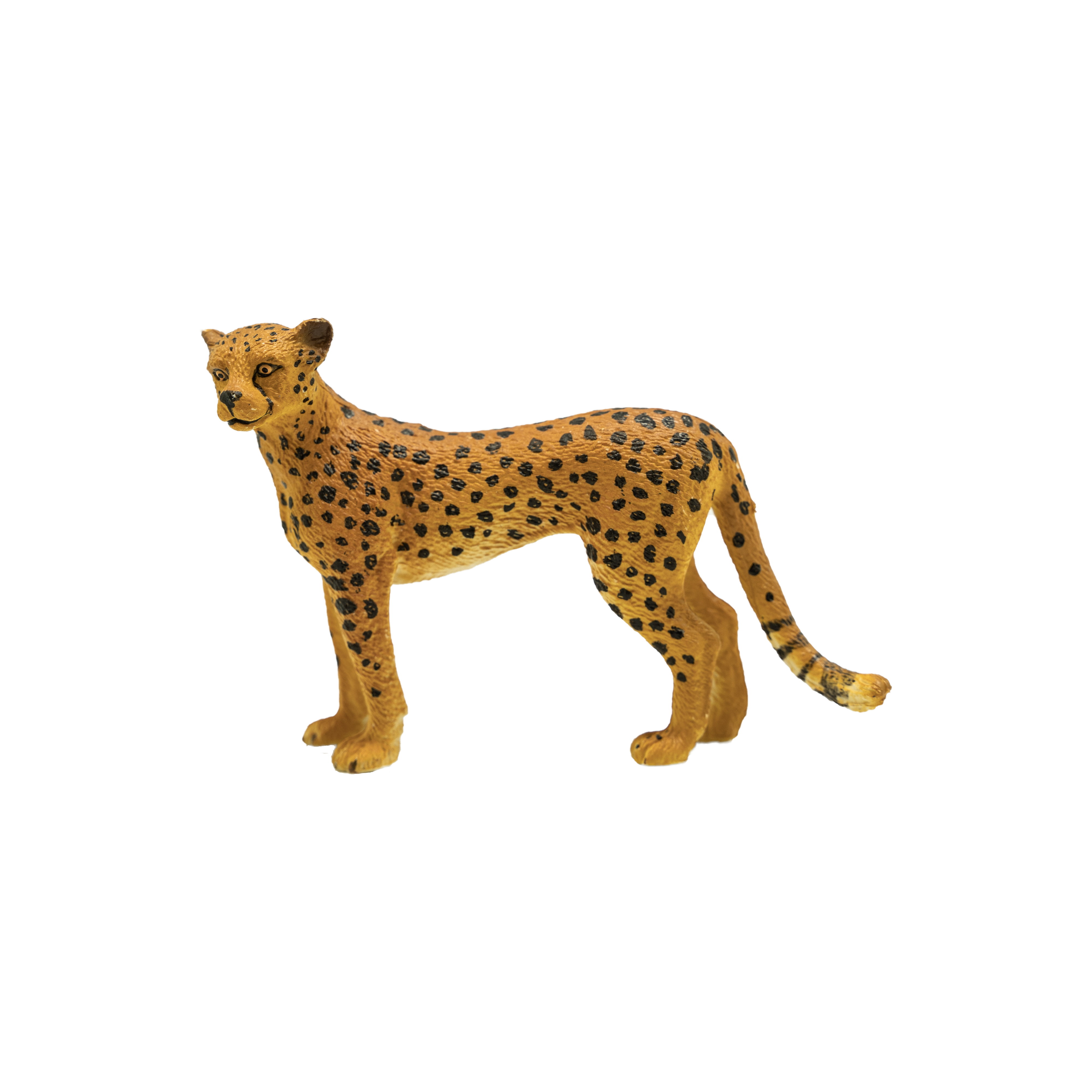 Diorama gepard