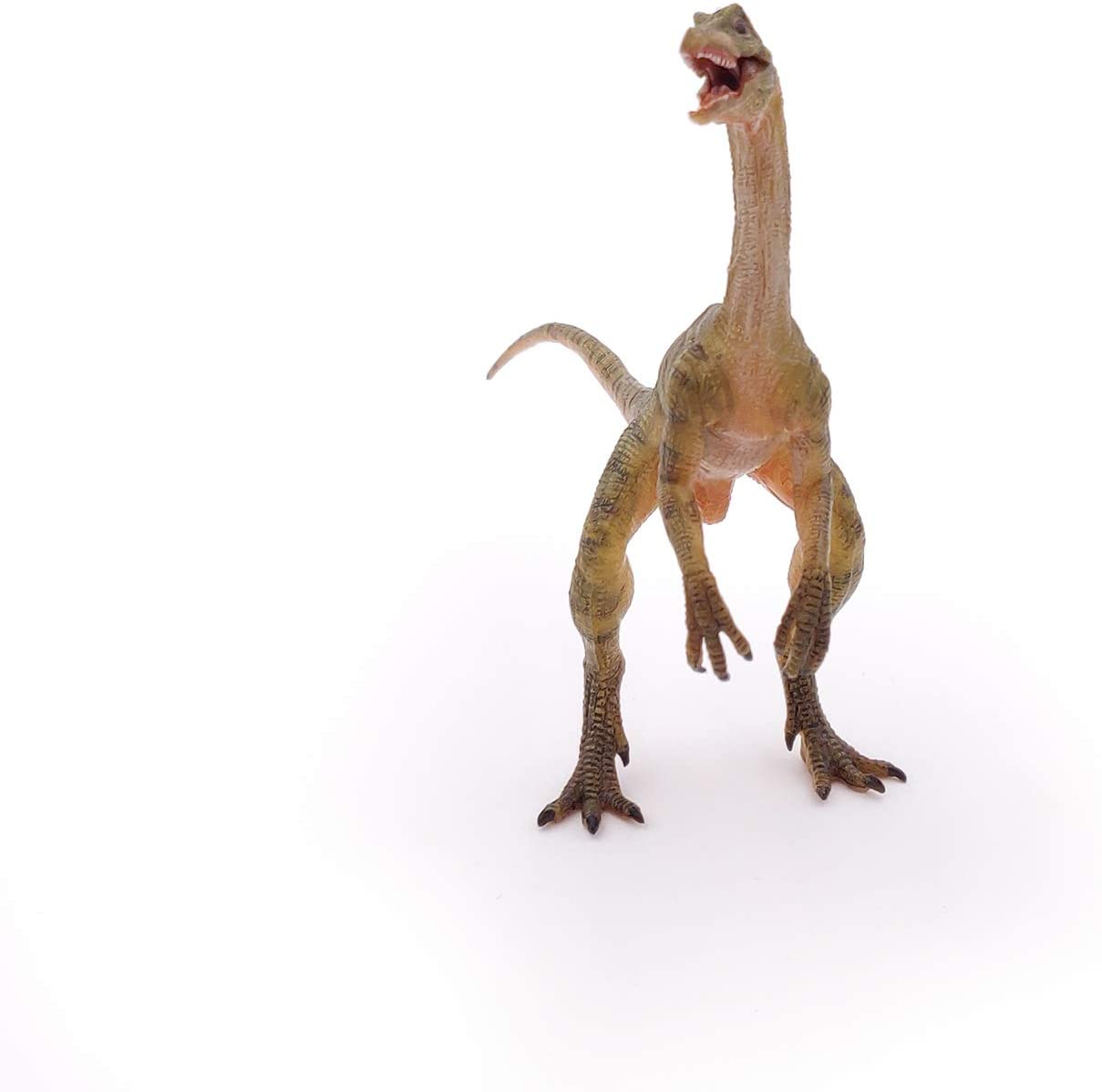 Compsognathus PAPO