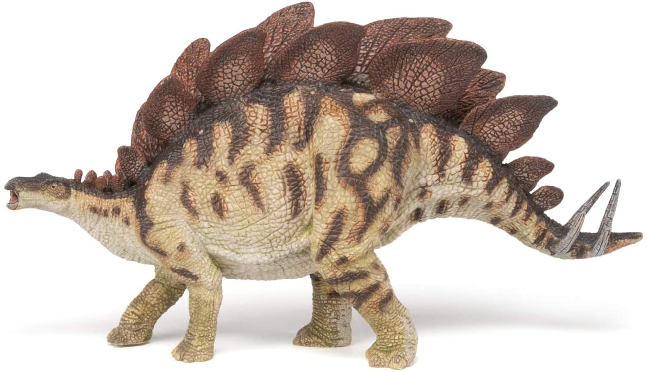 Stegosaurus PAPO