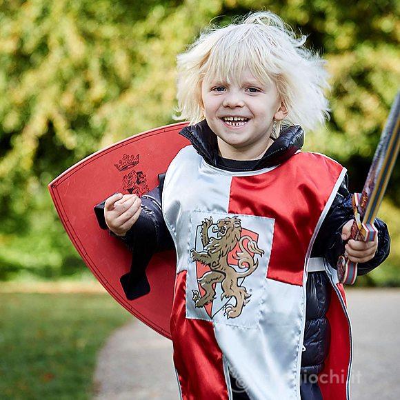meč Prince lví srdce