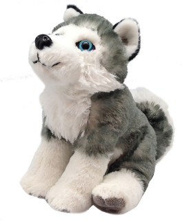 plyšový pes Husky 15-30 cm