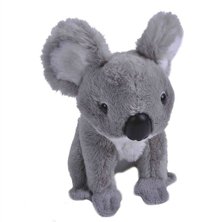 kapsáček koala