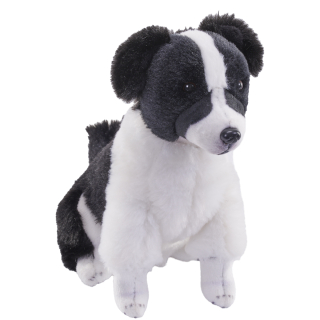 pes se zvukem Border Collie 