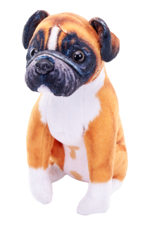 pes se zvukem Boxer
