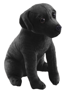 pes se zvukem Labrador černý