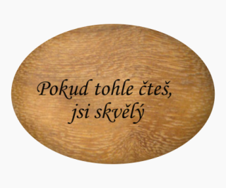 Oblázek velký - 5x4cm  - "Pokud tohle čteš, jsi skvělý"