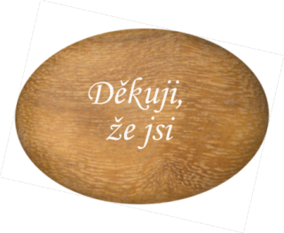 Oblázek velký - 5x4cm  - "Děkuji, že jsi"