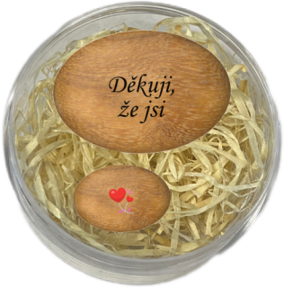 Sada oblázků - "Děkuji, že jsi" + květ srdce v dárkovém balení