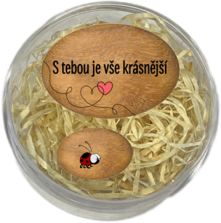 Sada oblázků - "S tebou je vše krásnější" + beruška v dárkovém balení