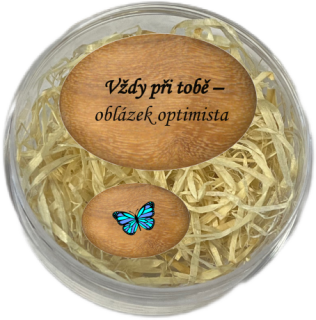 Sada oblázků - "Vždy při tobě - oblázek optimista" + motýlek v dárkovém balení