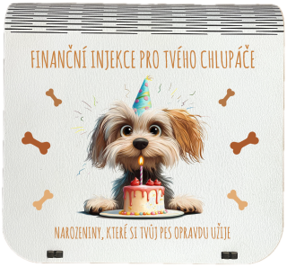 Dárková krabička na bankovky v injekcích - "Finanční pomoc pro tvého chlupáče"