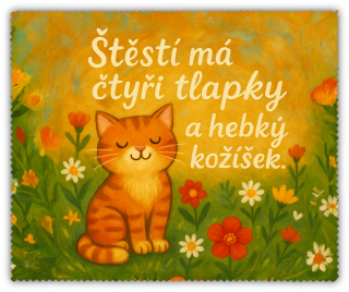Čistící utěrka - kočička