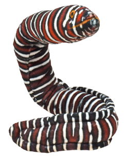 Plyš Coilkins had muréna pruhovaná 30cm WR