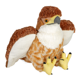 Plyš jestřáb červenoocasý CK 30 cm WR