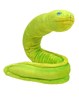 Plyš Coilkins had muréna zelenavá 30cm