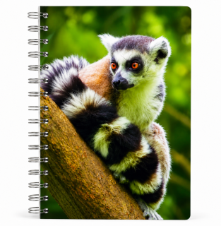 blok kroužkový 3D - Lemur