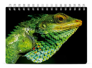 blok kroužkový 3D - Chameleon