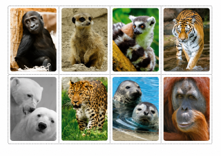 mini bloček 3D - ZOO 3