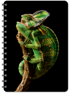 blok kroužkový 3D - Chameleon