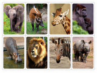 mini bloček 3D - ZOO 4 mix