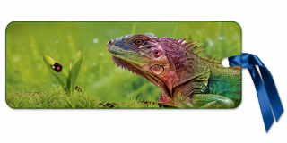 záložka 3D - Chameleon