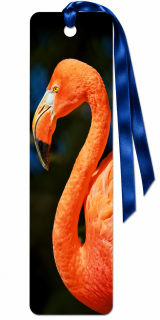záložka 3D - Plameňák