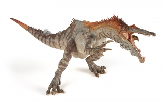 BARYONYX PAPO