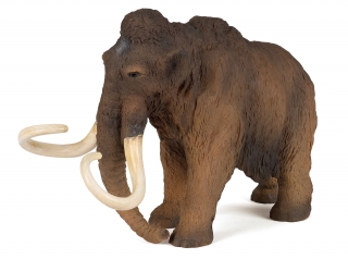 Mamut PAPO