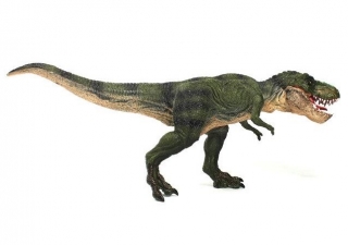 Tyrannosaurus rex  Toys