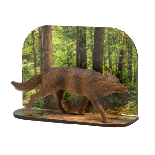 Diorama vlk