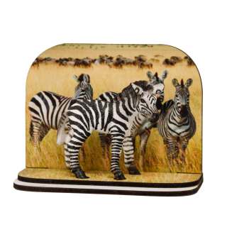 Diorama zebra
