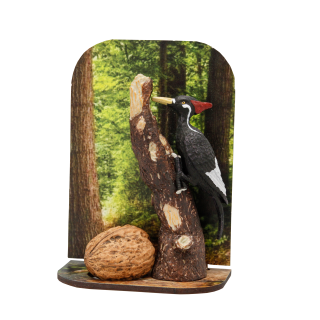 Diorama datel
