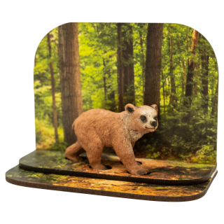 Diorama medvěd hnědý