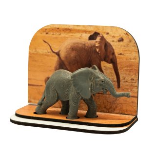 Diorama slon
