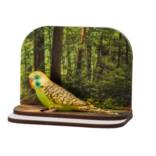 Diorama andulka zelená