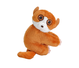klipáček Lemur